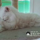 그루밍베베 티스토리
