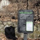 솔바람교 옹달샘 이미지