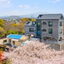 포리에이스 이미지