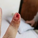 호랑이신경외과의원 이미지