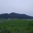 들꽃향기머무는곳 이미지