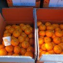 민성이네 농장 이미지