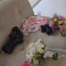 한국미하나(주) | ♡₊⁺ 멜레보하우스 스튜디오 웨딩 촬영 후기 ⁺₊♡