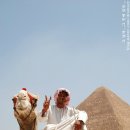 24시 숨 동물병원 이미지