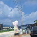 [포천]우사아한타이 태국 식당 방문 후기