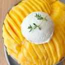 골드래빗 | 잠실 송리단길 카페 추천 미스틱래빗 서울 망고빙수 버터떡 디저트 맛집 후기