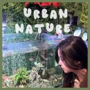 호텔네이처 부산신항점 | 부산비바리움카페 ‘어반네이처’ 아이랑 가볼만한 부산 카페