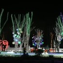 별빛마을 이미지