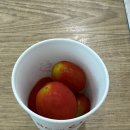신은정 헤어 | 신은정 행복끝! 불행시작! (문성인이 한말임)