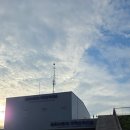 독도 - 순천시 | 독도는 보았지만 밟지는 못했다, 독도 입도 실패 후기