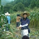 은하수농장 이미지