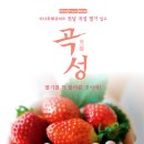 곡성-195 이미지