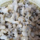 목포뻘낙지 이미지