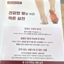 베어수