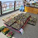 능동농장 이미지