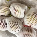 영오농장 이미지