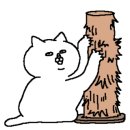 운정고양이호텔 이미지