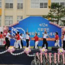 4만 지보면민들의 축제 `제12회 지보면민 체육대회 이미지