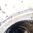 어룡초교 이미지