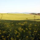 근정농장 이미지