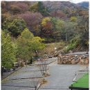 힐링캠프캠핑장 이미지