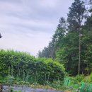 양평썬부동산공인중개사사무소 이미지