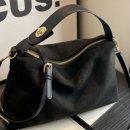 데일리도그 이미지