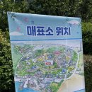 울산 가볼 만한 곳_장생포 수국축제 후기_+함흥냉면/함경면옥 신정점 냉면 맛집