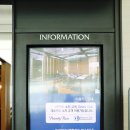 스카이 P.P 이미지