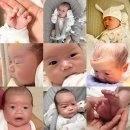 다이브의원 | 26.02.20 - 26.02.28 이정빈 집으로 오다. 2월기록