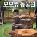 신화에너지 제일주유소 | 제주 신화월드 테마파크 카피바라 체험 실제 방문 후기