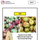 DAY2. 말할 수 있는 비밀(feat.치파오가 좋다)