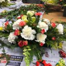 힐링 생활 꽃장식 이미지