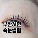 다우피드 이미지