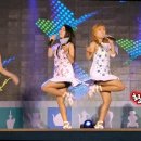 강진-42 이미지