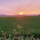 솔솔농장 이미지