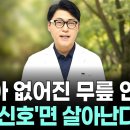 관절 연골이 재생된다고? 식약처 인정 DEM의 정체와 관절에 미치는 메커니즘 공개. 이미지