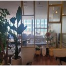 분당 척추의료기 이미지