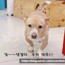 우람동물병원 이미지