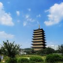 풀잎채보문점 이미지