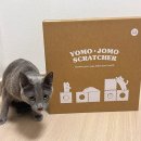 숨숨집 | 꼬물리 요모조모 스크래쳐 숨숨집 하우스 후기 고양이 스크래쳐