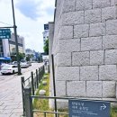 밀레오여관 | 서울] 동대문 나들이