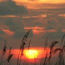 김희갑악단 이미지