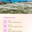 무인카페데이지 이미지