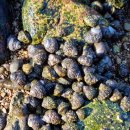 바닷가에서 이미지