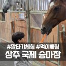 승마장 야외화장실2 | 경북 상주 국제 승마장 체험 6살 아이도 가능한 말타기 먹이주기