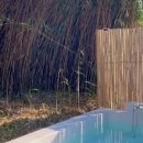 스테이 호꼼만 이미지