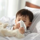 리즈동물병원 | 소아비염 코막힘 증상 이OO님 치료 후기 [자필후기 14편]