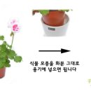 하일농장 이미지