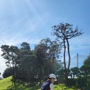 럭키세븐카 이미지